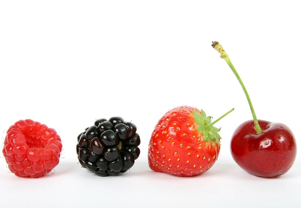 berry 1238249 960 720