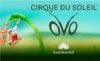 Cirque du Soleil: OVO